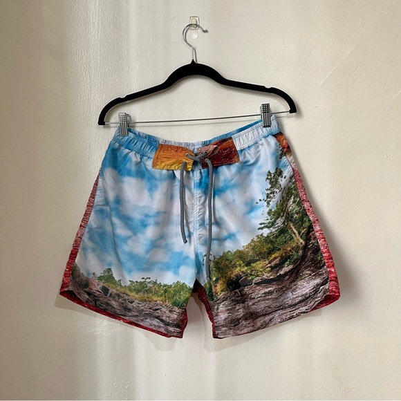 Graphic Swim Bottoms - Picture 1 of 2